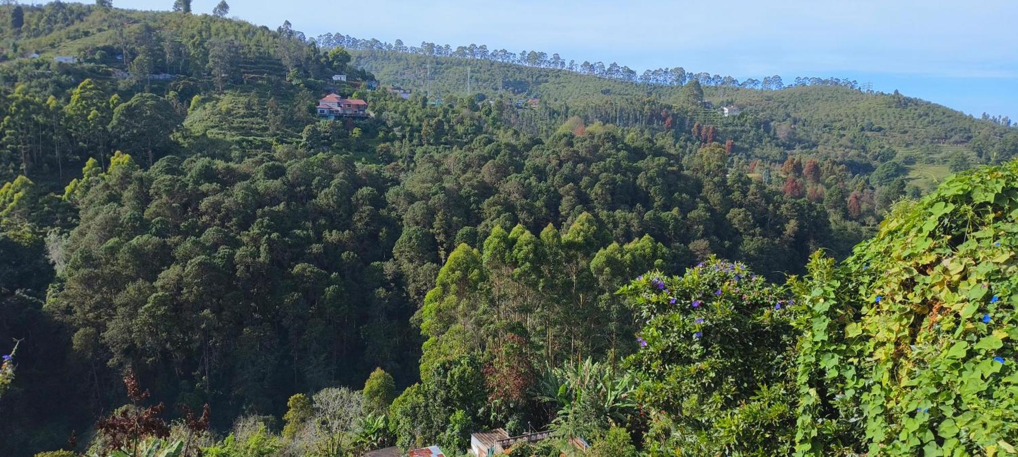 Highland Heaven Otel Kodaikanal Dış mekan fotoğraf